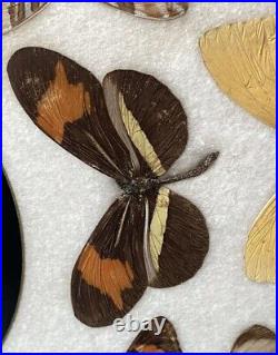 WW2 British Army Royal Navy Raf Officers Butterfly Wing Rio Souvenir Inlay? Tray