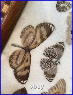 WW2 British Army Royal Navy Raf Officers Butterfly Wing Rio Souvenir Inlay? Tray